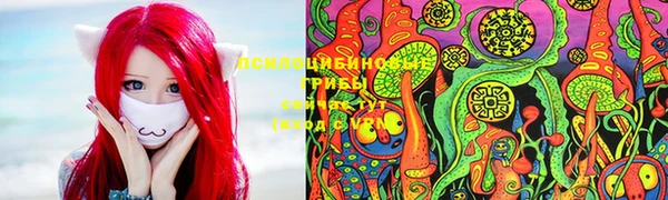 первитин Нея