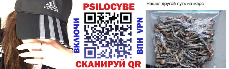omg как войти Великий Новгород Галлюциногенные грибы Cubensis наркотики